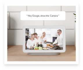 Google Assistant语音助手(图2)